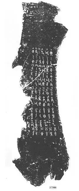 甲骨文天干地支文字真正全破解！古埃及文和甲骨文竟然有诸多相似之处