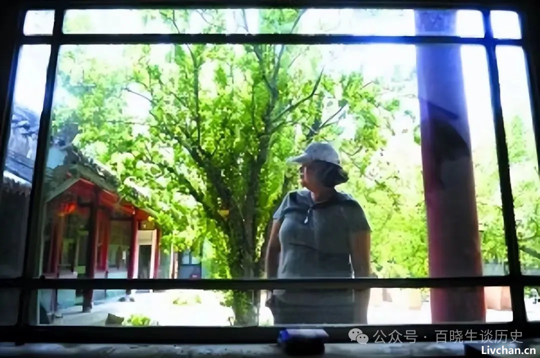 2008年章含之逝世后，外交部为何将她女儿洪晃告上法庭？
