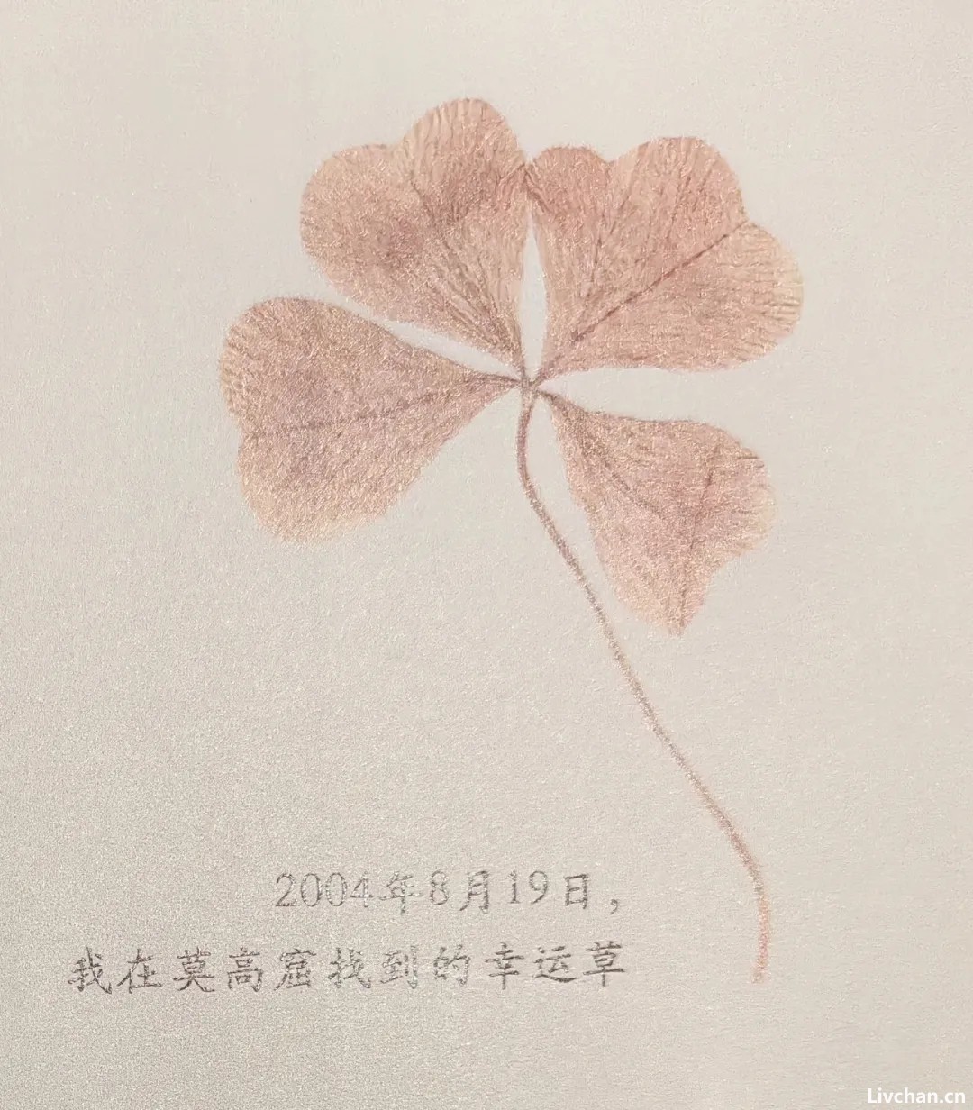 常沙娜：在敦煌找到了人生的幸运草