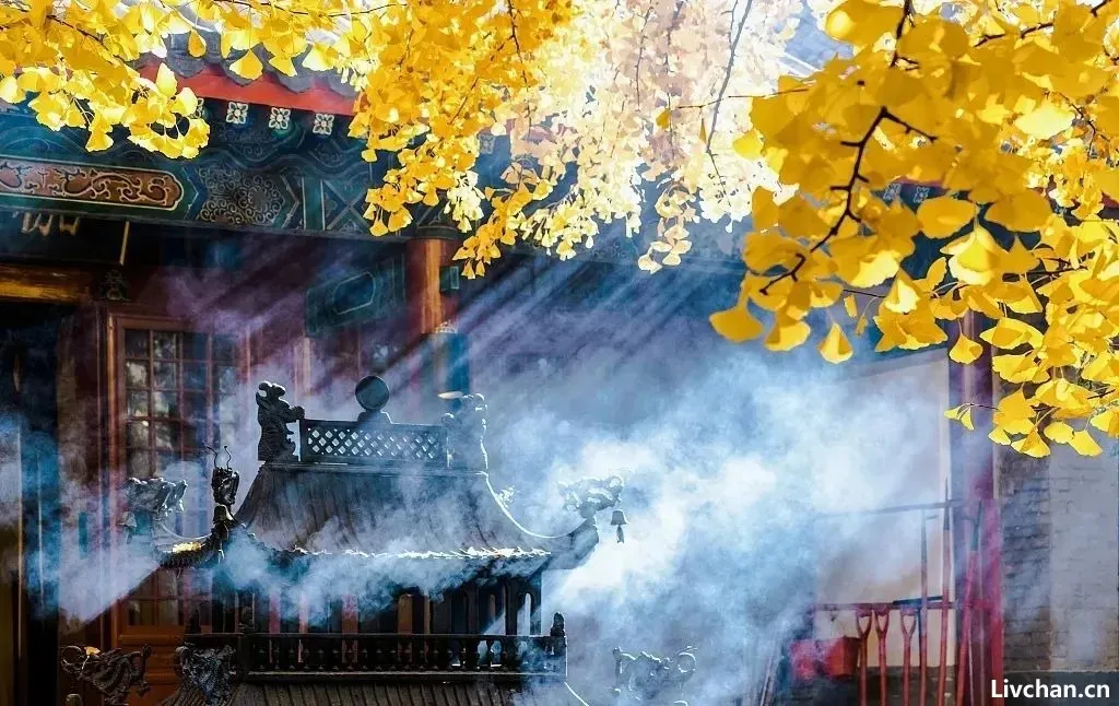 古训:知人,知善,知德