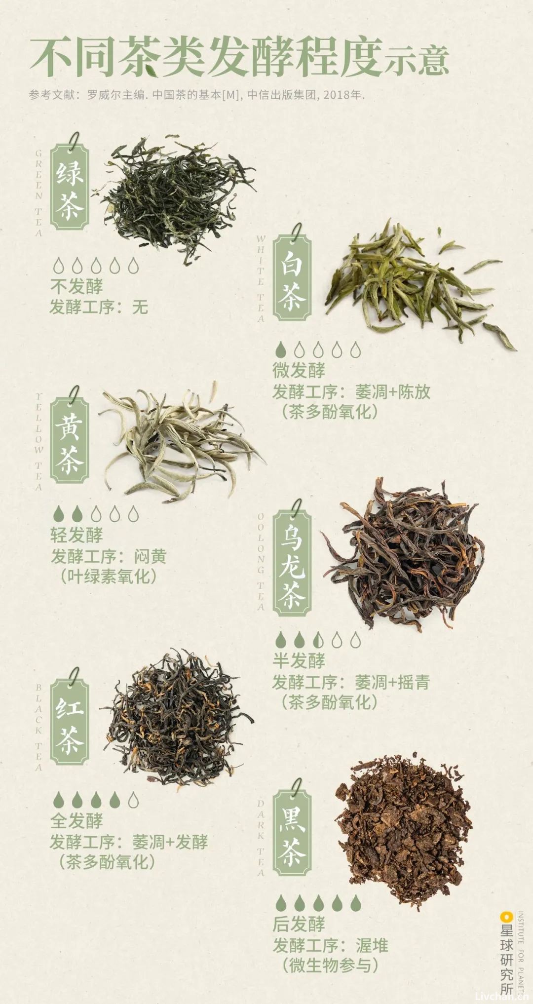 借用导图形式一次性把中国茶讲清楚，建议收藏！ 