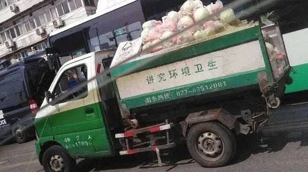 恍然大悟!粪车装毛蚶或才是1988年上海甲肝大爆发的原因?