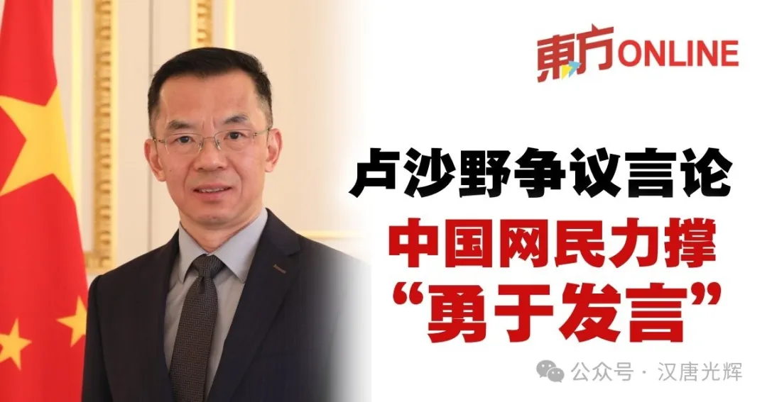卢沙野大使投石问路,掀起井底千重浪!