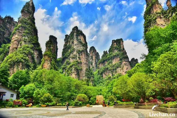 文旅知识大全