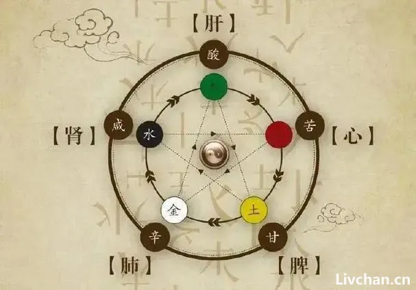 中医知识大全 中医知识大全