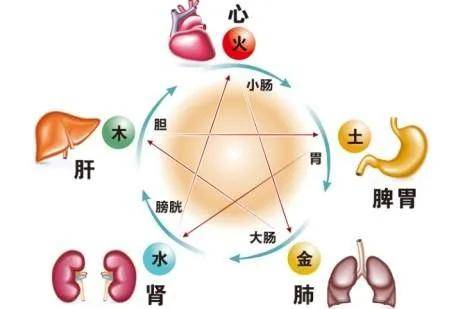 中医知识大全