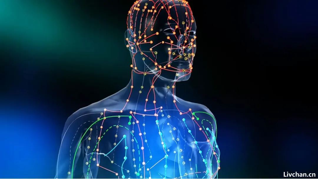 中医知识大全 中医知识大全