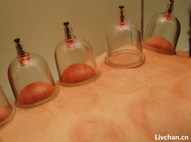 中医知识大全 中医知识大全