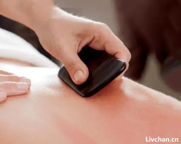 中医知识大全 中医知识大全