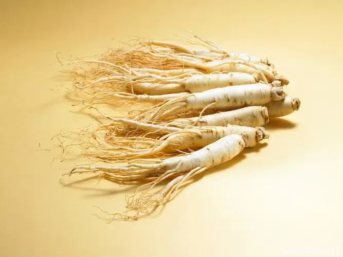 中医知识大全 中医知识大全