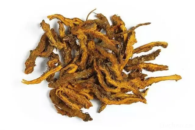 中医知识大全 中医知识大全