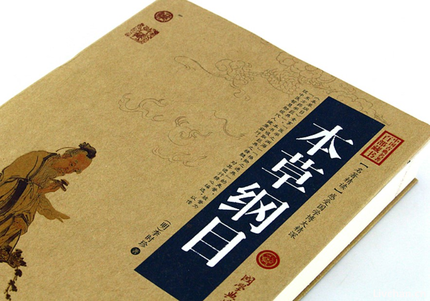 中医知识大全