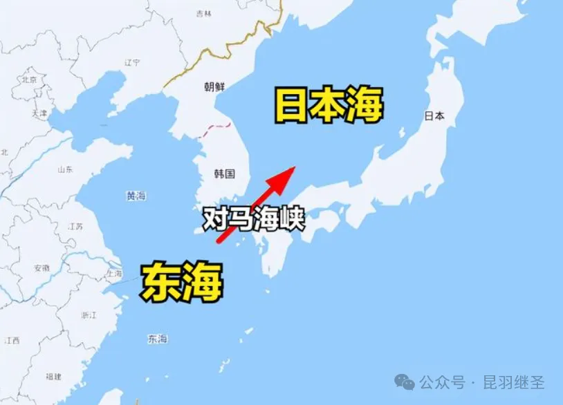 昆羽继圣：龙国亮剑，全球出击