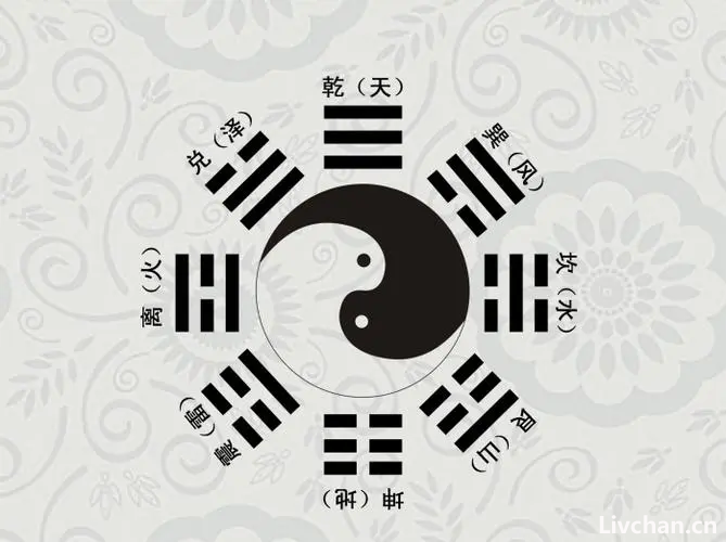 八卦知识大全