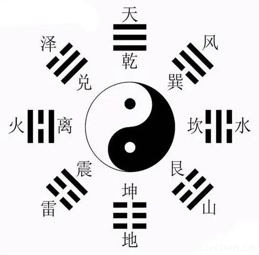八卦知识大全
