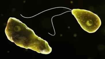 接近 100% 的死亡率!多家医院诊断不出,他灵光一闪竟救了自己儿子一命
