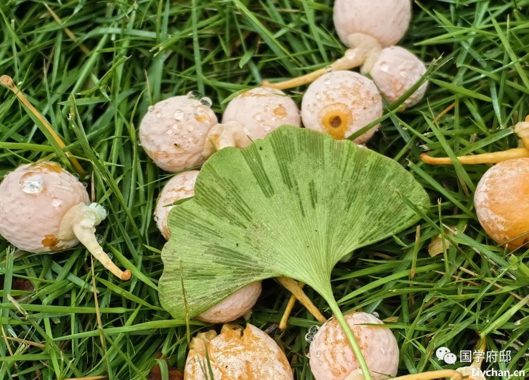 中华传世经典《格言联璧》精华100句，含义隽永