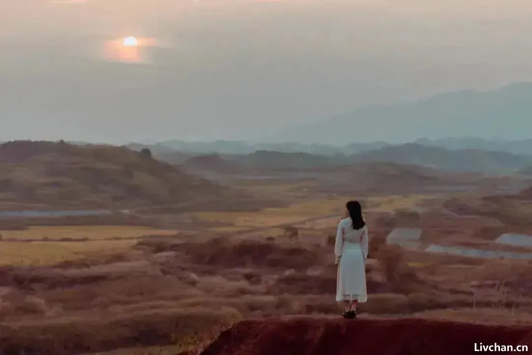 最顶级的醒悟:懂人性,懂取舍,懂生活