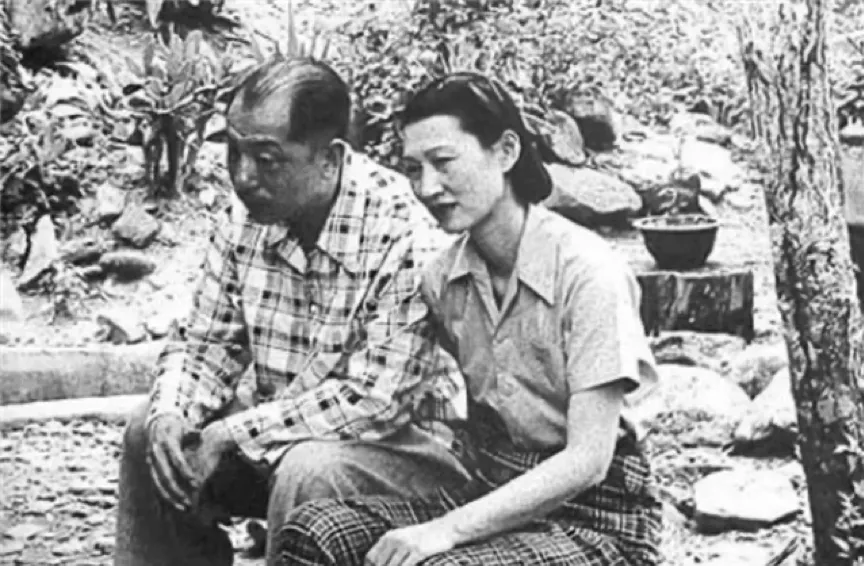 张学良为何背上了痛失东北，无能抗敌的骂名？而蒋介石在其中又充当着什么角色呢？