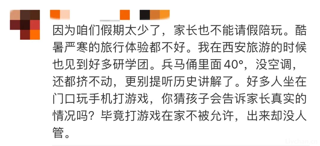 半个月6万元的研学团，“孩子坐在路边玩手机”