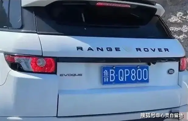 遭逆行青岛路虎女司机殴打者:我忍了又忍,仍头晕恶心。网友:该女子引起了公愤