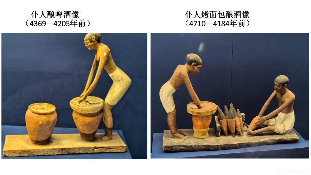 河清：上海“古埃及文明大展”全是新东西，最新的只有4年！          