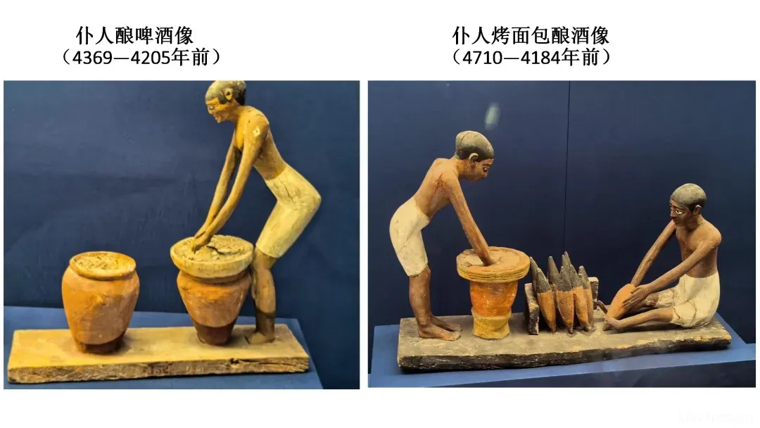 河清：上海“古埃及文明大展”全是新东西，最新的只有4年！          