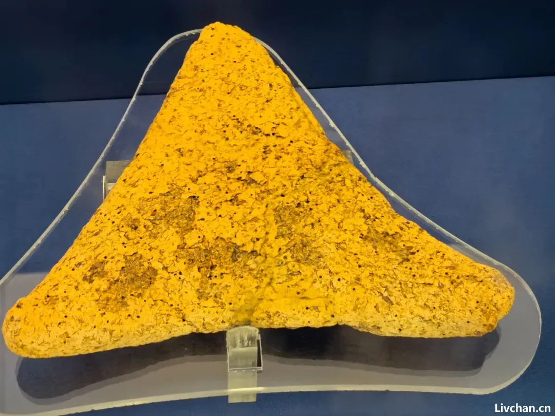 河清：上海“古埃及文明大展”全是新东西，最新的只有4年！          