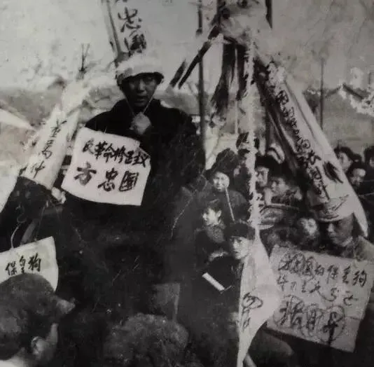 当年，我举报了我的母亲，她第二天就被枪毙了，如今我老了，每晚都在做噩梦