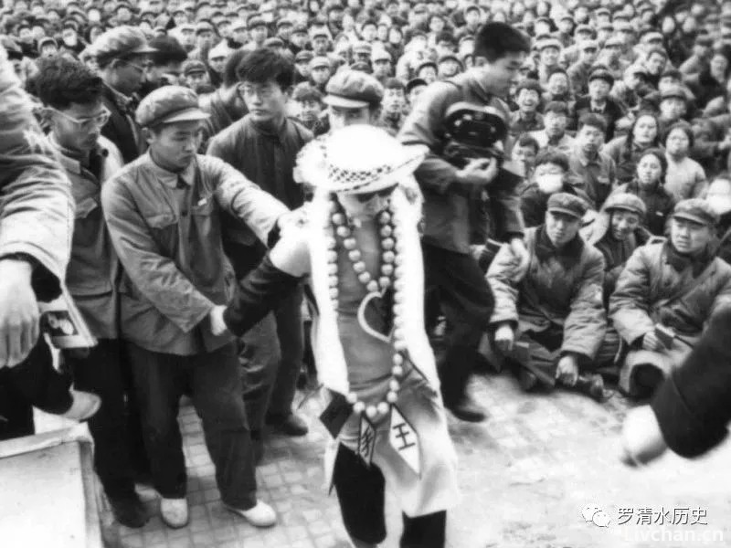 斯诺问毛泽东：你何时感觉要把刘少奇从政治上搞掉？