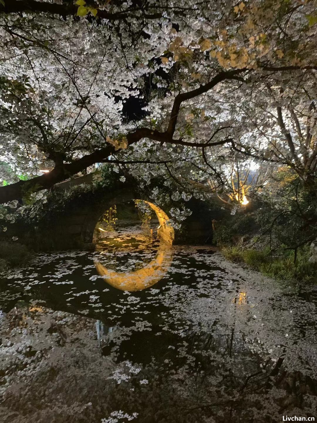 描写月饼，赏月的中秋诗词