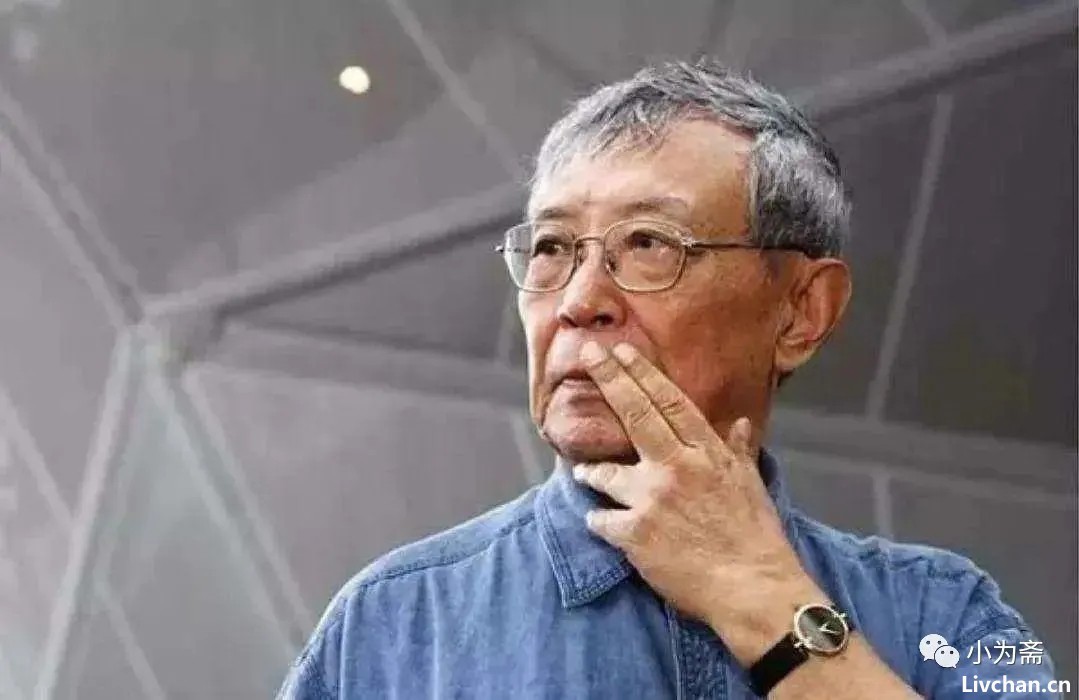 针针见血，李泽厚点评当代著名作家
