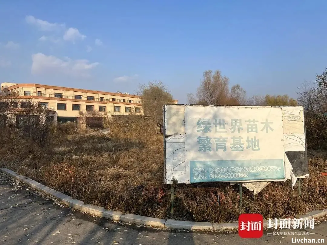 哈尔滨“警虎”于涛一家人涉黑团伙覆灭：商业版图涉30余家公司