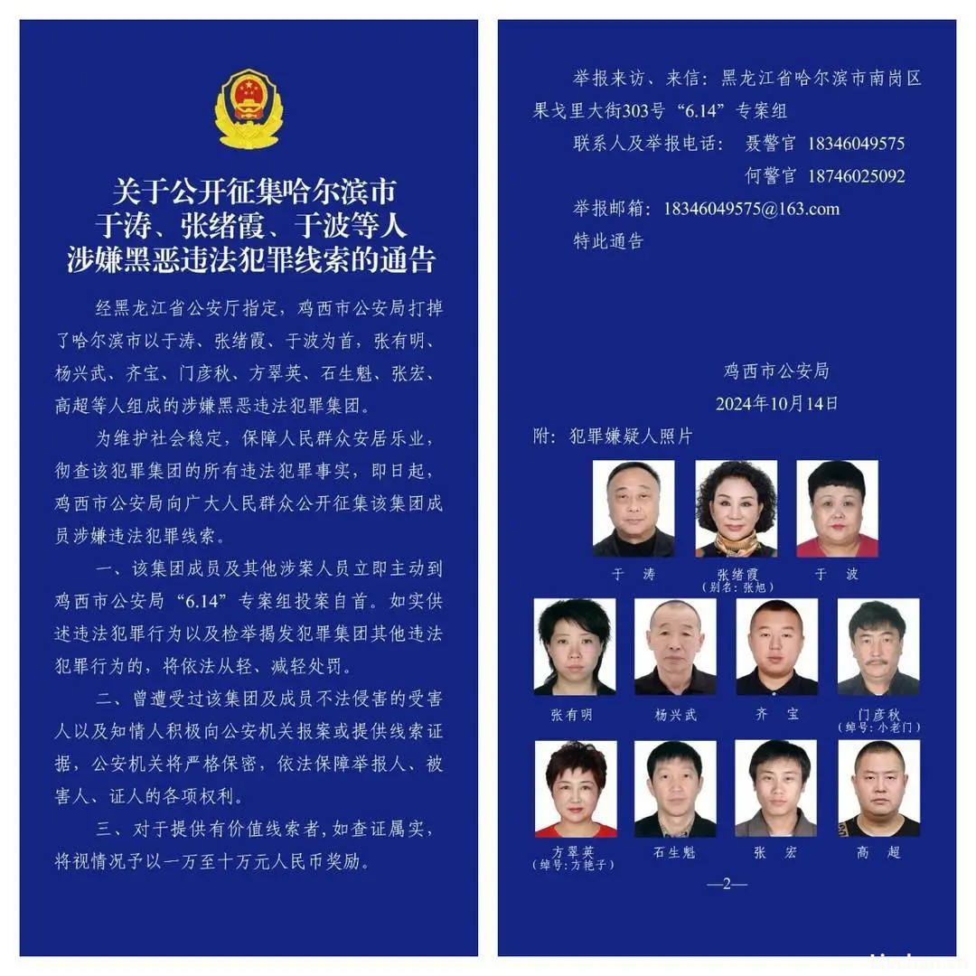 哈尔滨“警虎”于涛一家人涉黑团伙覆灭：商业版图涉30余家公司