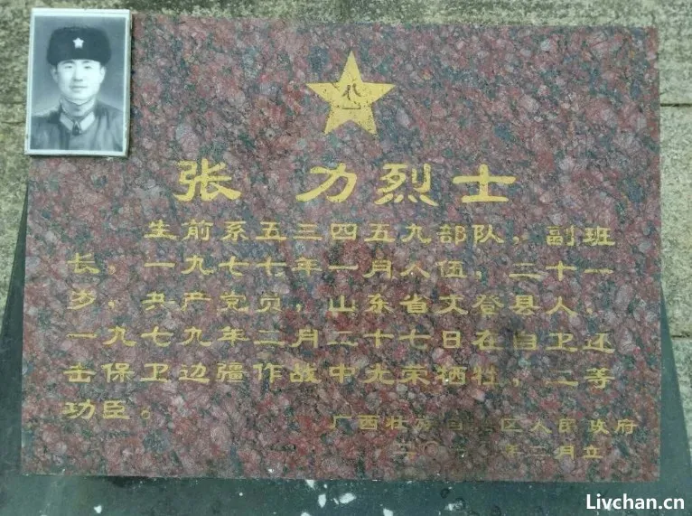 高干子弟上前线镀金,此事竟然蔚然成风