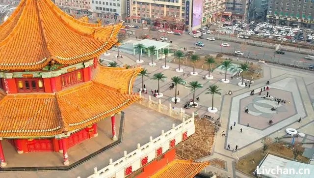 山西太原市清徐县政府门前花1305万建仿真椰子树等，中央点名通报后连夜拆除