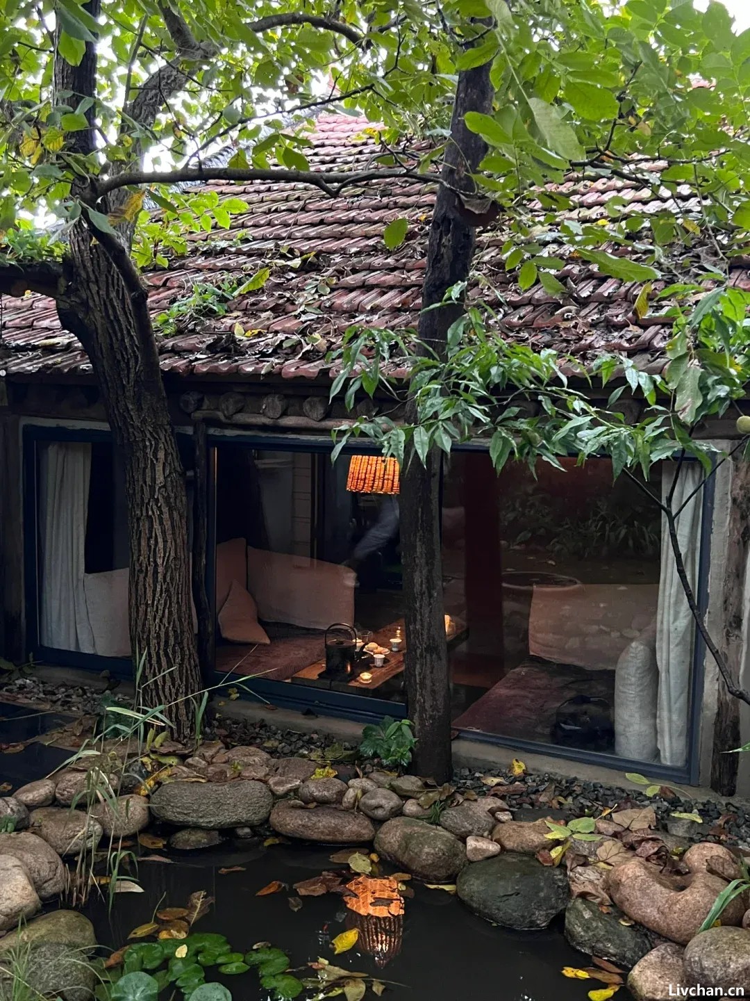 有间茶室，虚度清秋