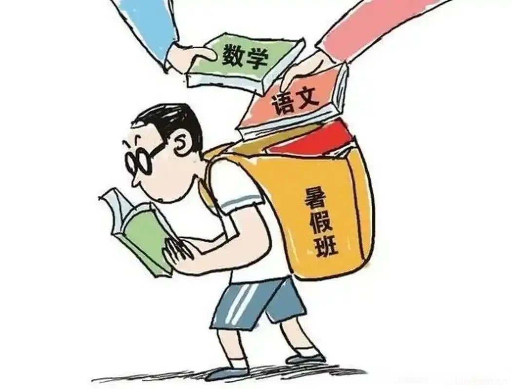 谁，才是造成中国教育乱象的根源？
