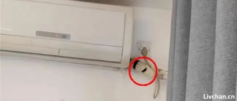 自导自演！曝光石家庄民宿暗藏摄像头的博主被抓了