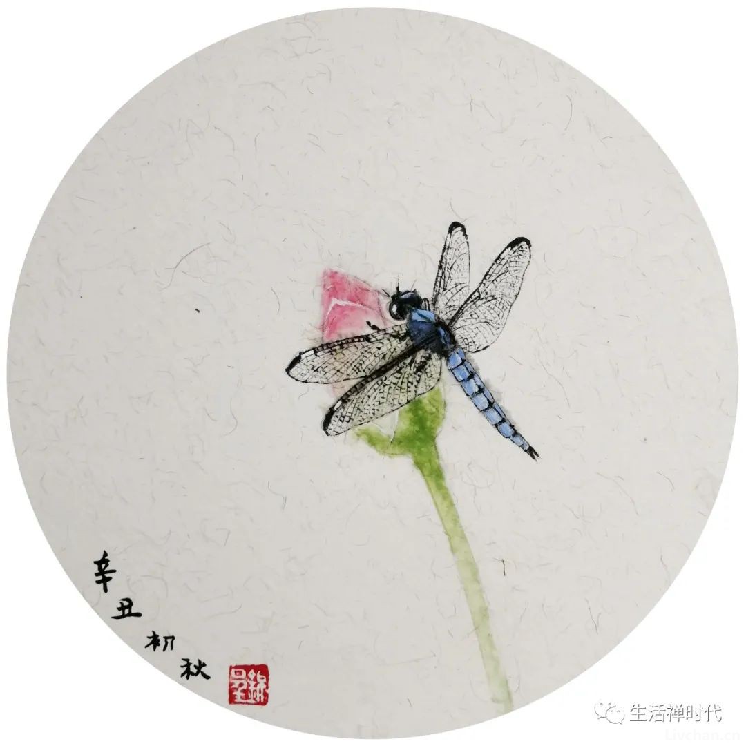 憨师说 （87）