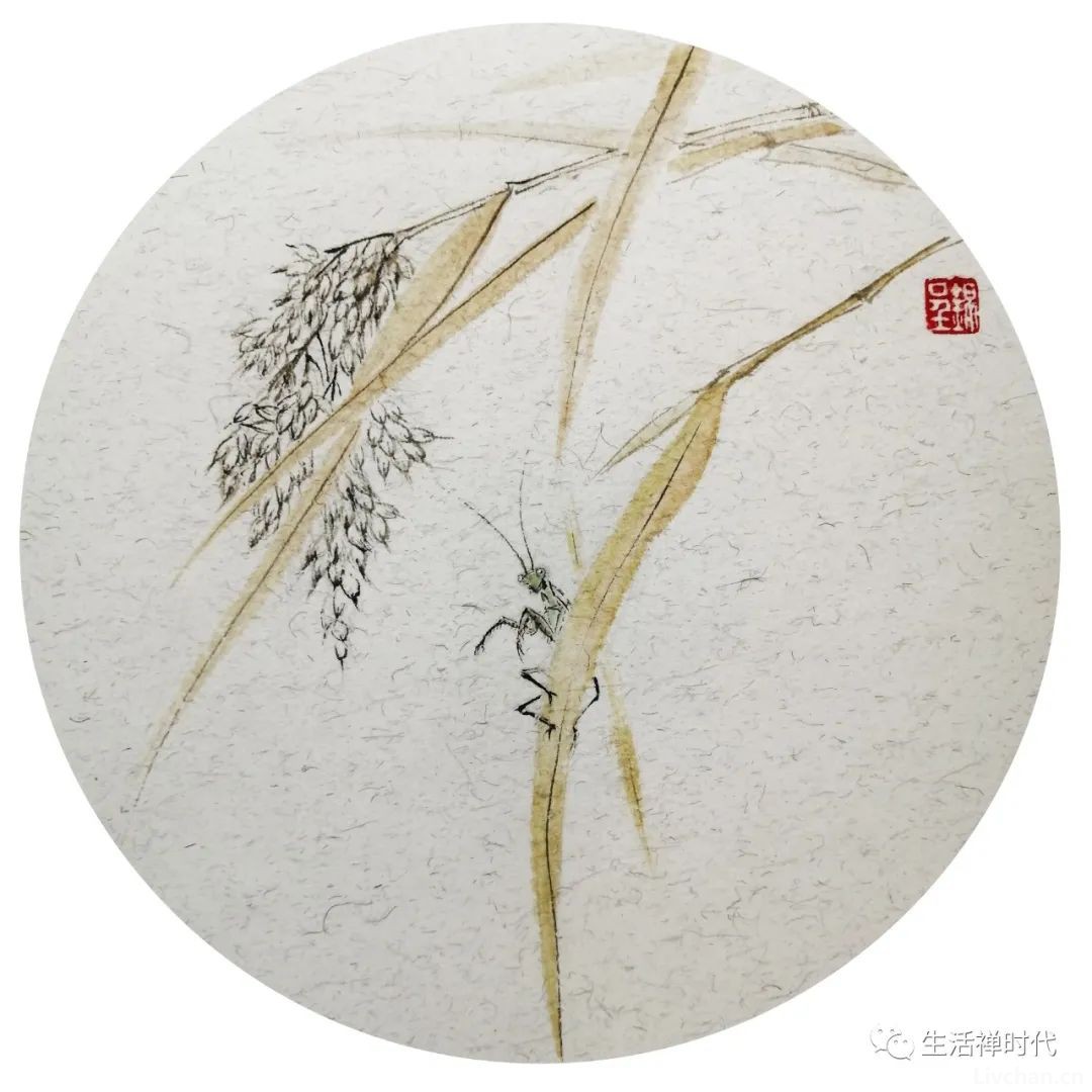 憨师说（69） 