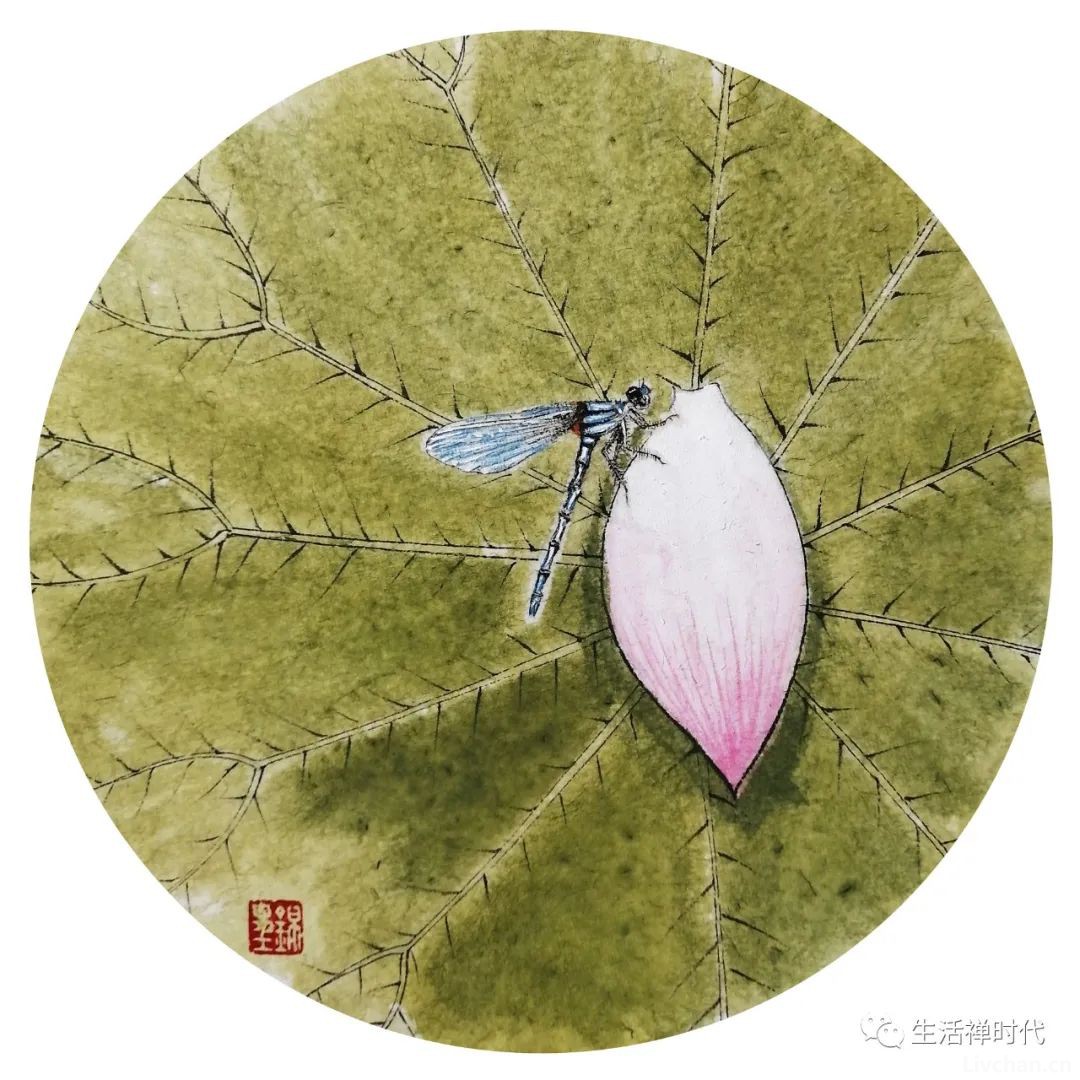 憨师说（53）