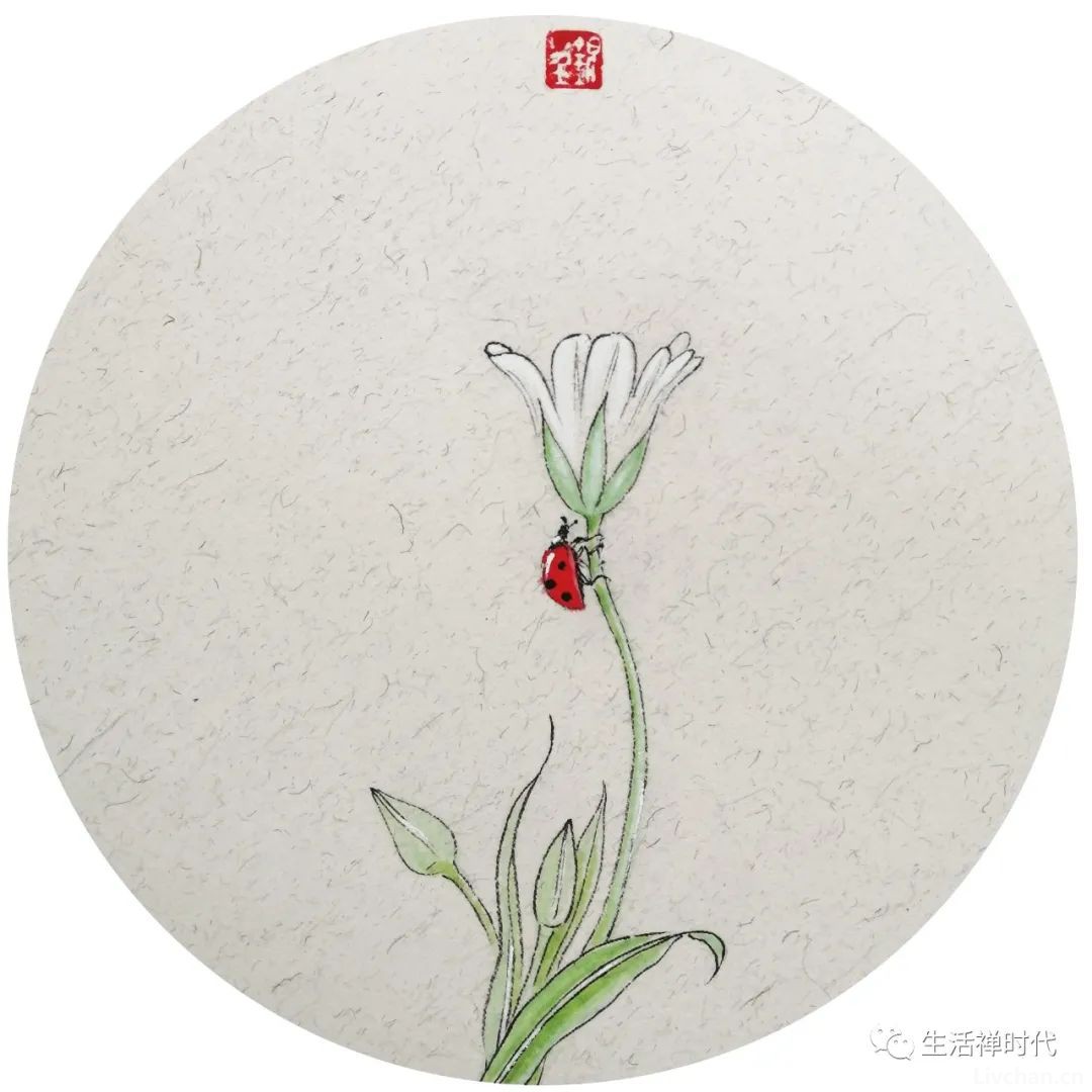 憨师说（48） 