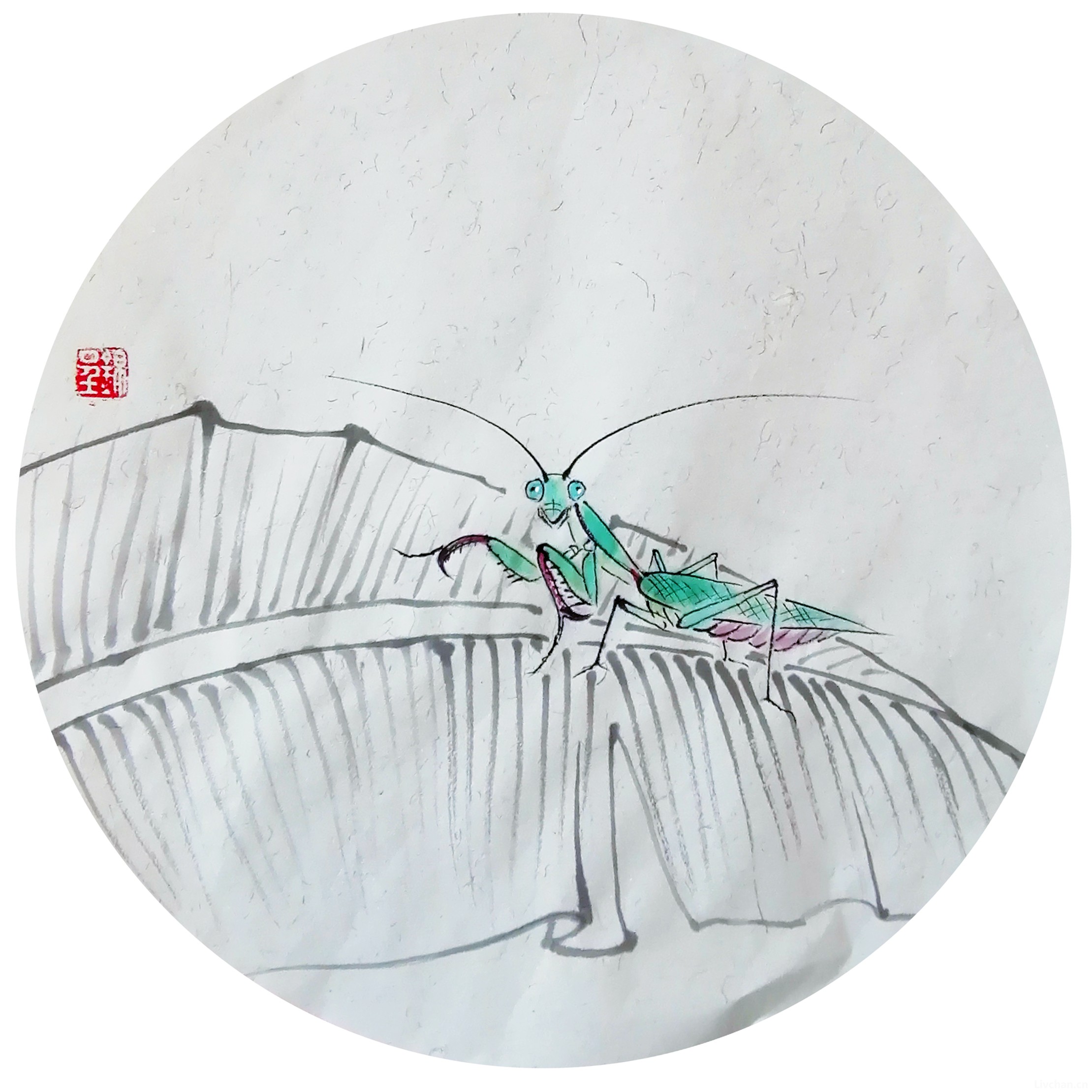 憨师说（23）