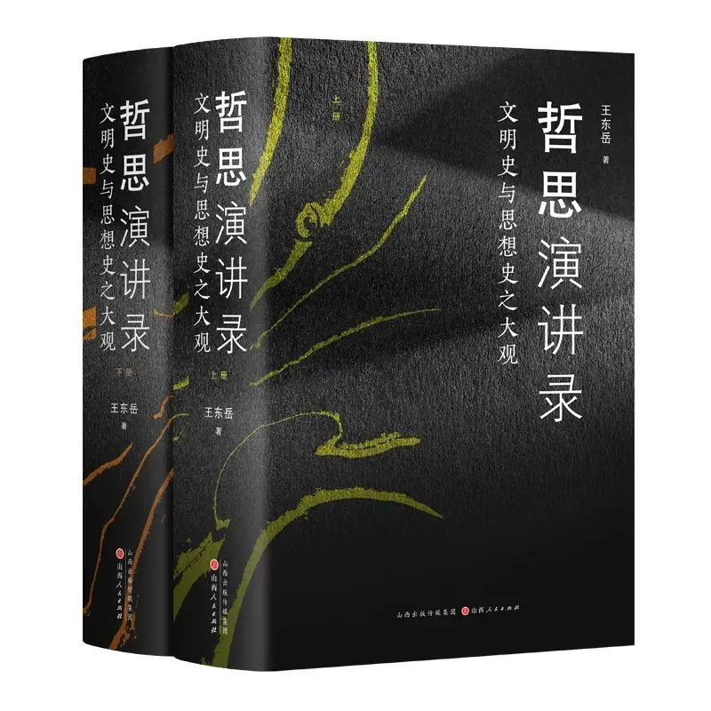 王东岳的哲学是胡说八道吗？网友对王东岳的两种态度VS