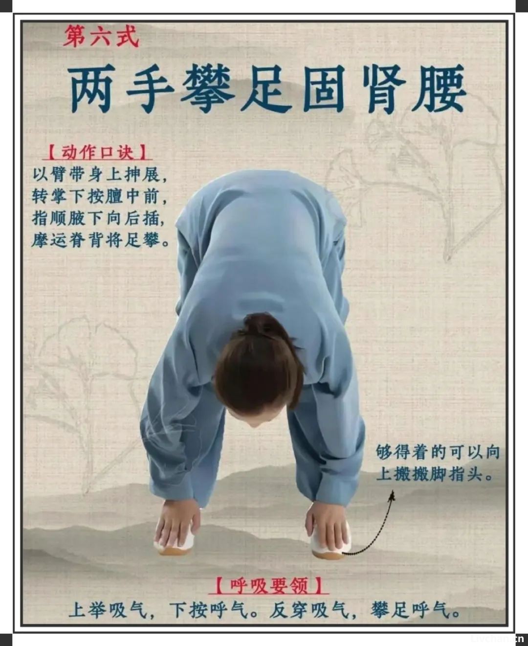 关于八段锦，这篇文章讲清楚了
