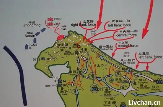 台湾当归，也必须归