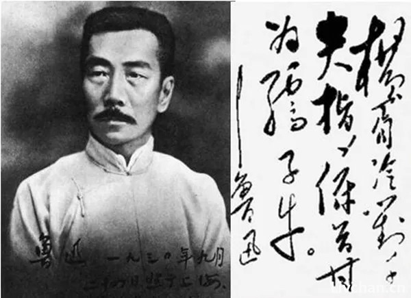 鲁迅的作品逐渐被移出教科书