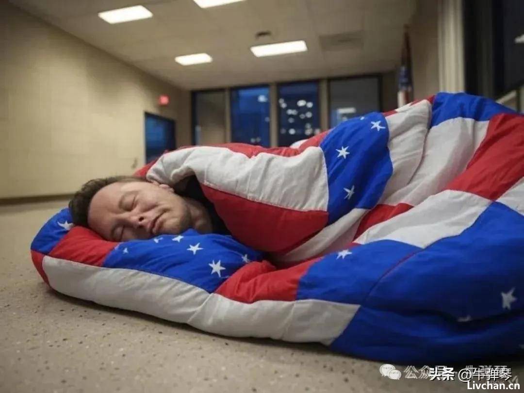 特朗普鞭策马斯克，你还要更放开手脚