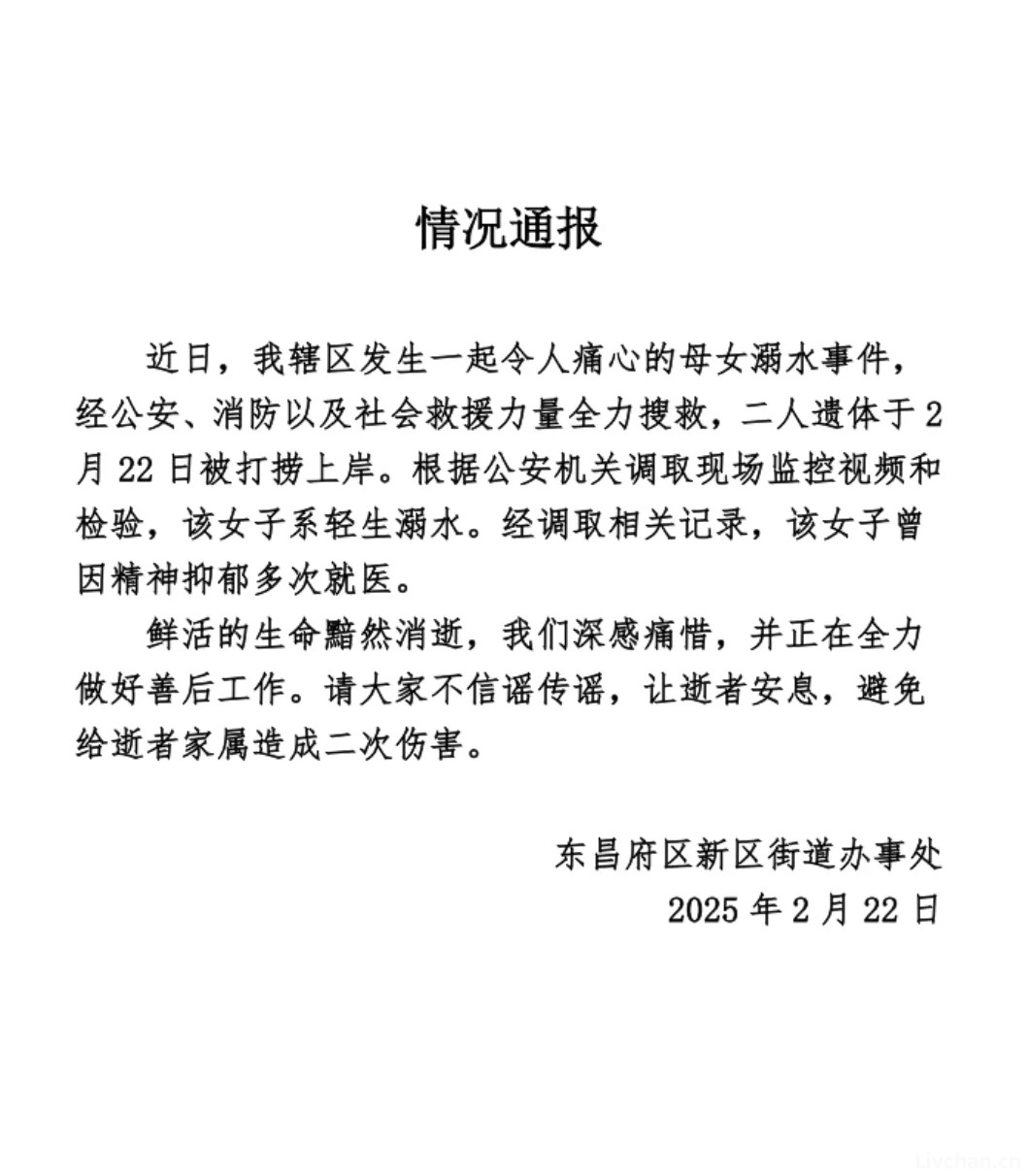 2025年2月网事月报